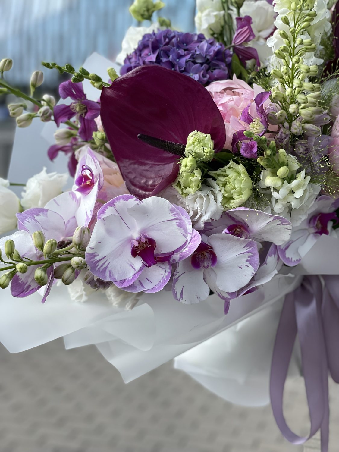 Orchid Reverie
